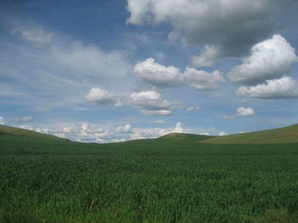 Country Huntress Rolling Hills