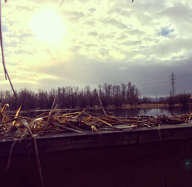 Duck Hunting - Country Huntress