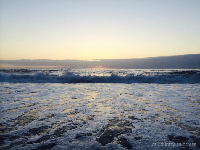 Oregon Coast Waves