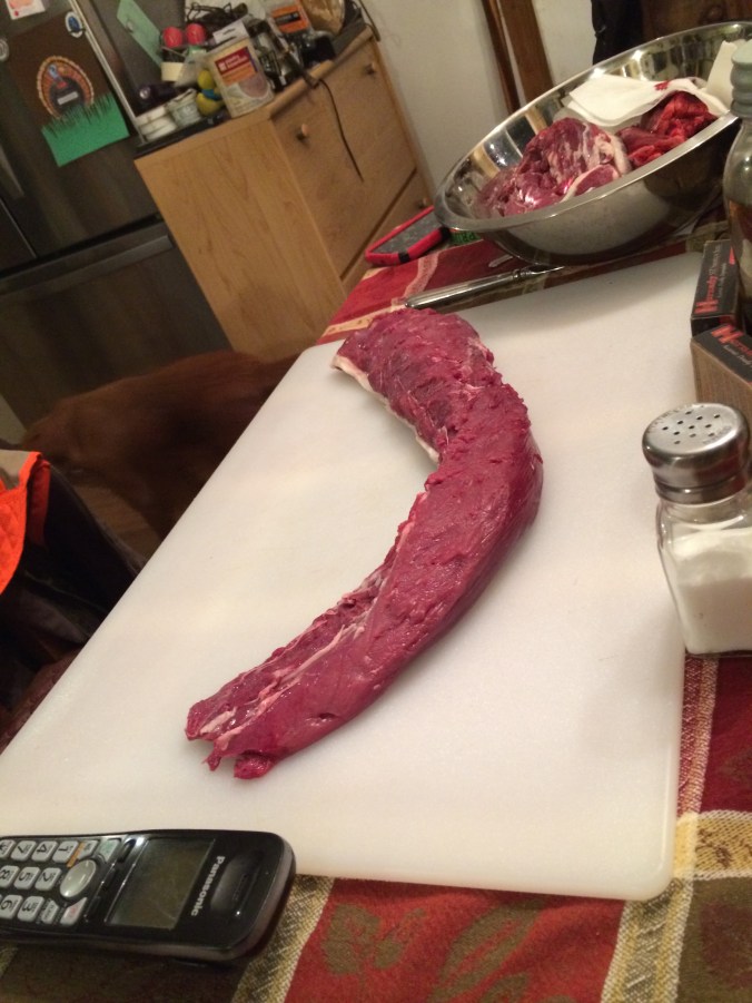 country huntress deer hunting