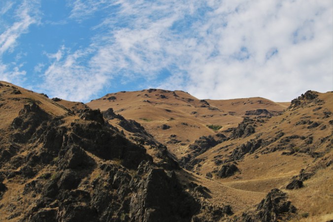 bass fishing snake river