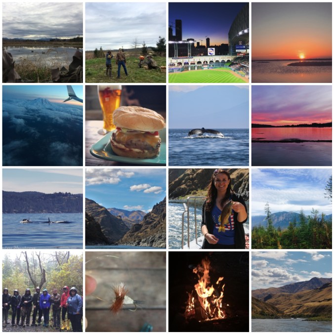 country huntress 2016